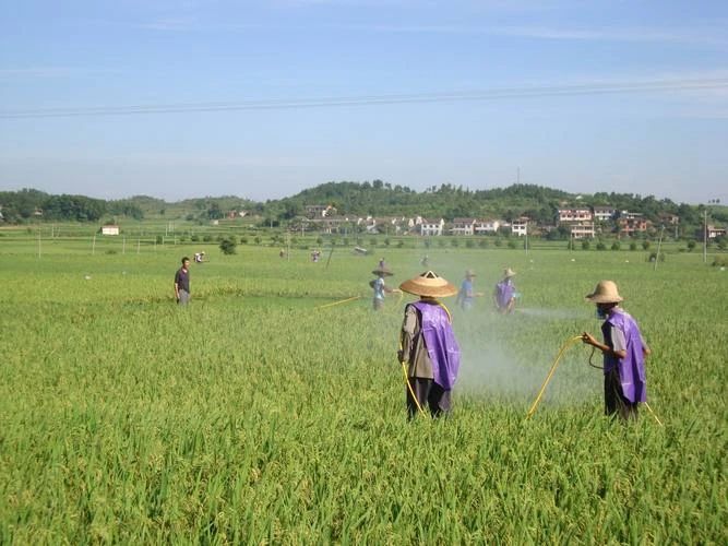 农药废水,电催化氧化设备,电催化反应器,电催化氧化装置